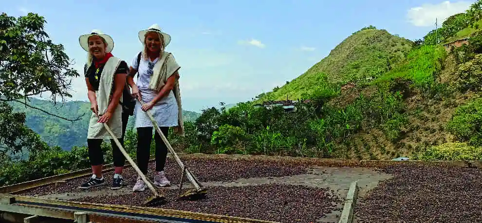 Proceso de secado y tueste del café colombiano.